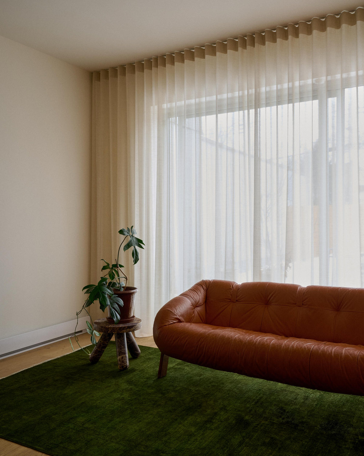 overdyed rug in novo | 320 | 6'3" x 9'7"