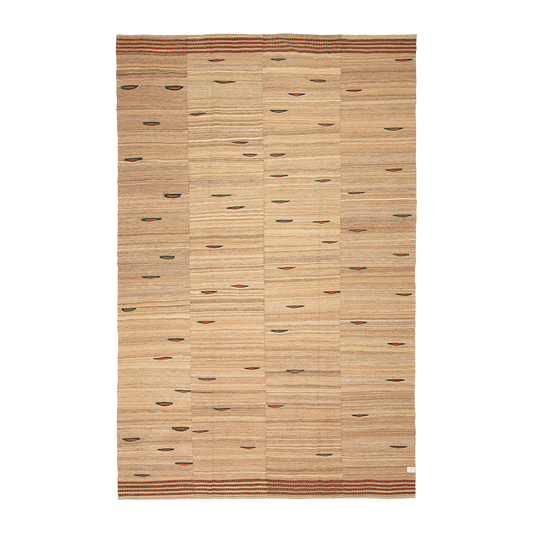 flatweave rug in baja | #247 | 6'9" x 10'4"